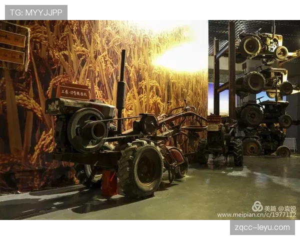 捷克黄金一代余晖犹在：回望辉煌岁月，展望未来征程