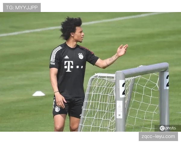 萨内训练方式解析 萨内训练方式解析